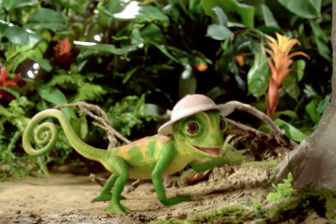 Froop Fruchtsafari